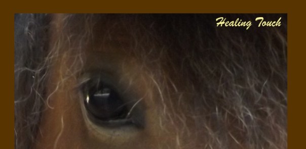 Michele Fire-River Heart