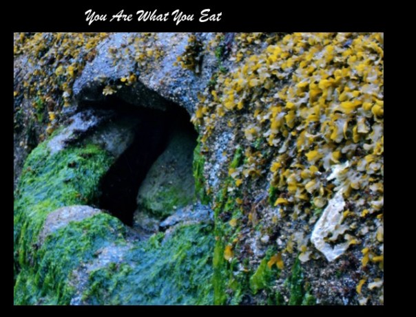 Michele Fire-River Heart