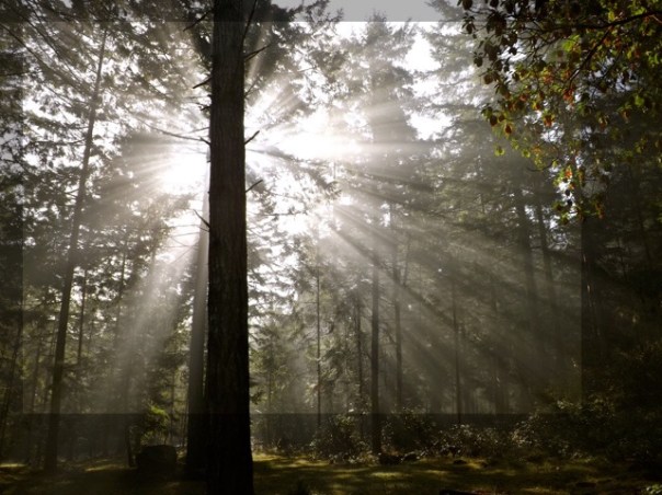 Michele Fire-River Heart