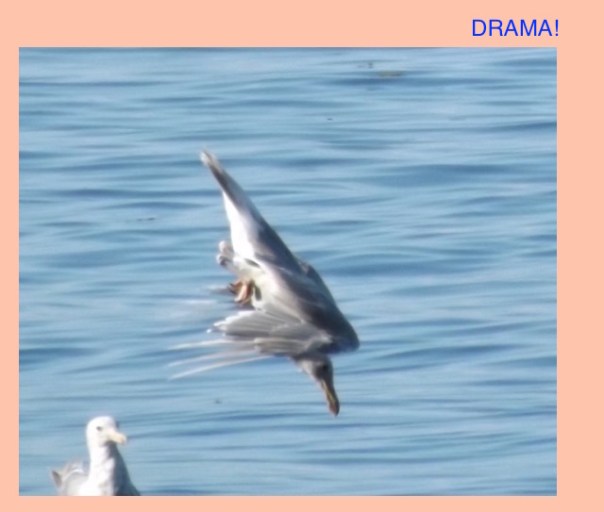 Michele Fire-River Heart