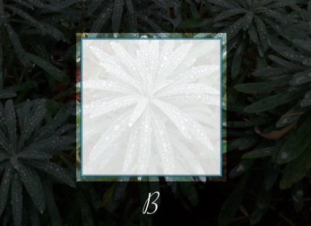 Michele Fire-River Heart©